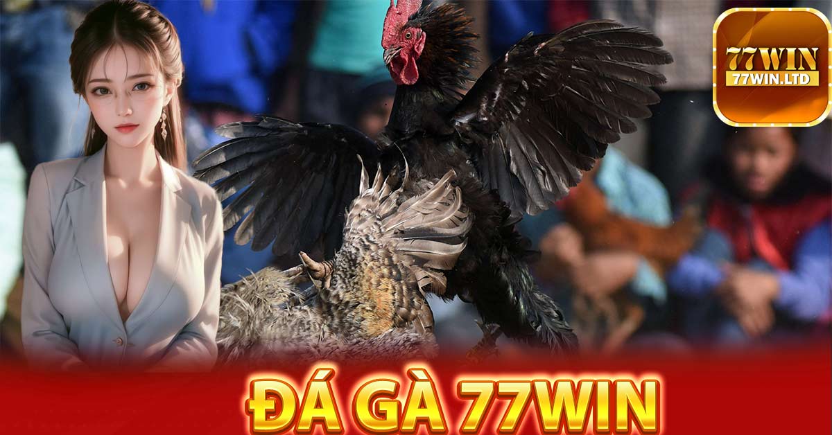 Khái quát về đá gà 77Win